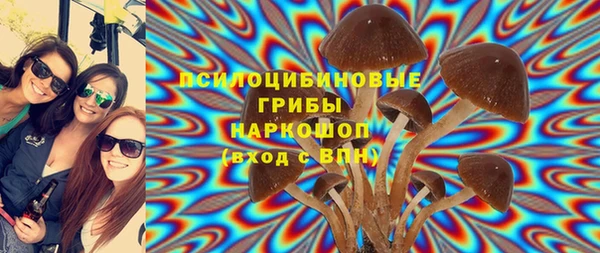 таблы Горнозаводск